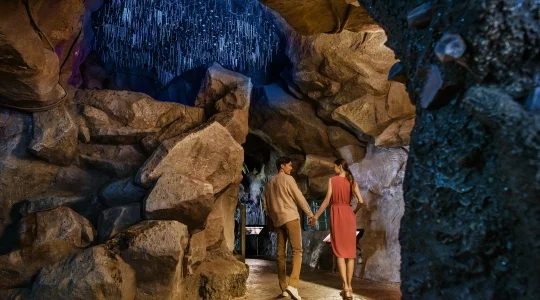 ナイトサファリ